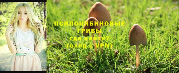 метадон Белоозёрский