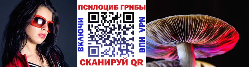 Псилоцибиновые грибы мухоморы  Шацк 